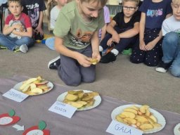 55782815612667229219223206860763134721242979n